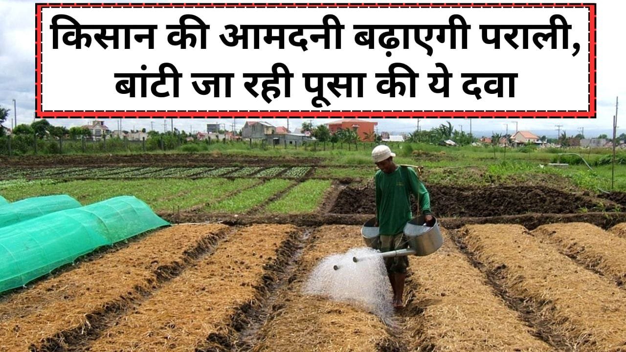 पराली से किसानों की आमदनी कैसे बढ़ेगी