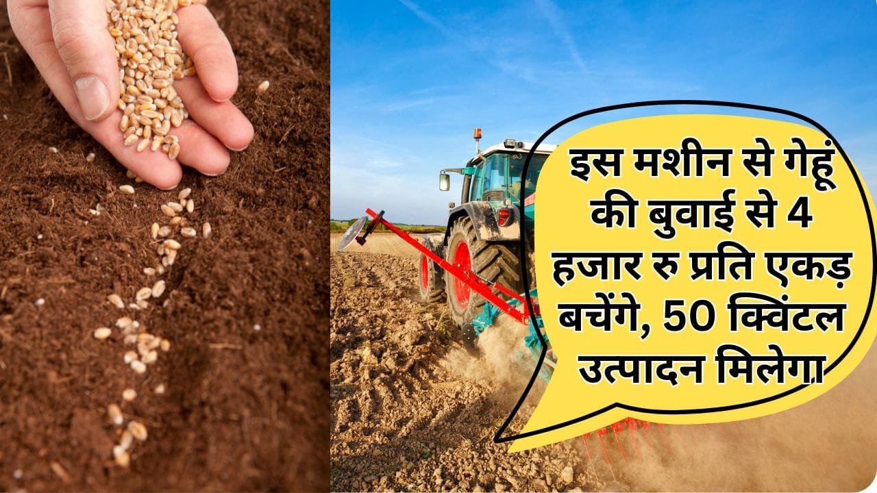 गेहूं बुवाई के लिए मशीन