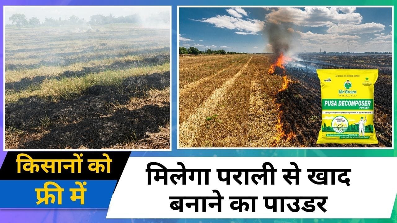 पूसा डीकम्पोजर वेटेबल पाउडर