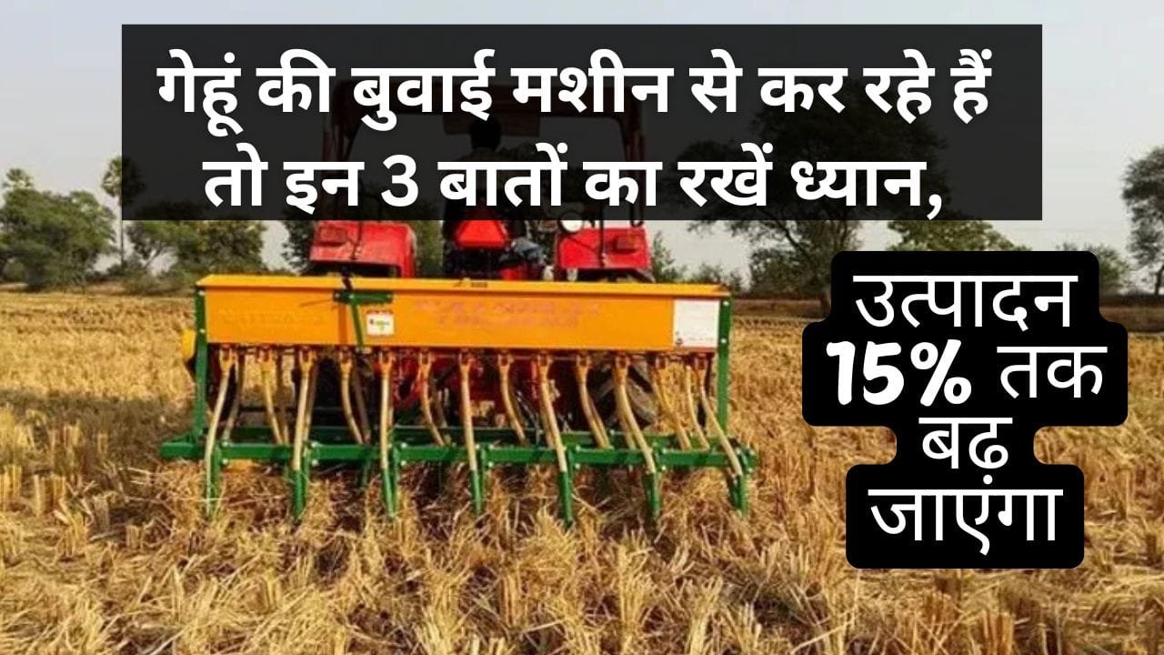 गेहूं की बुवाई मशीन से करते समय इन बातों का रखें ध्यान