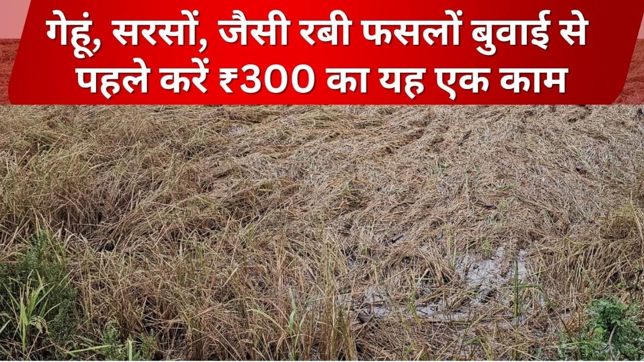 फसल सुरक्षा के लिए सरकारी योजना