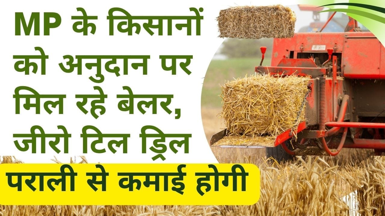 नरवाई प्रबंधन पर अनुदान