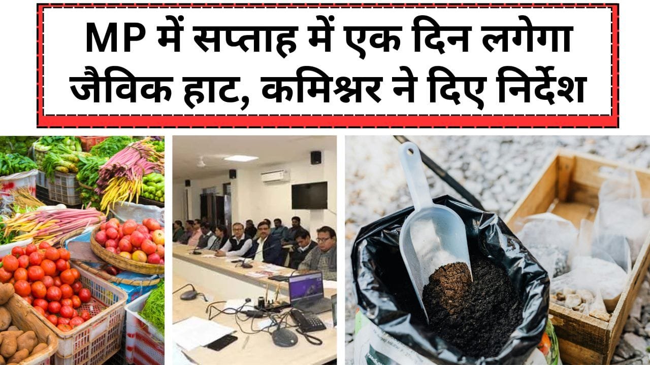 MP में कहां लगेगा जैविक हाट