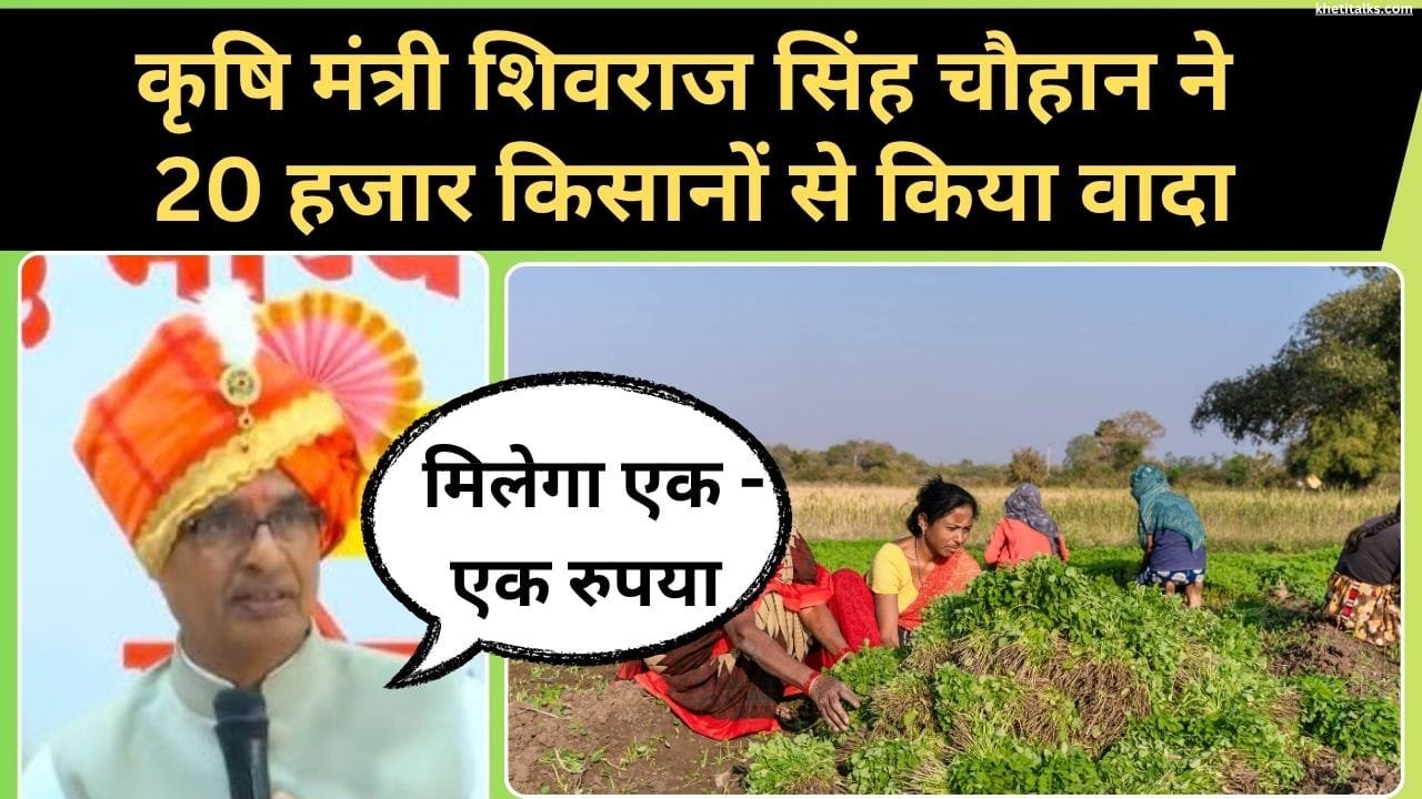 प्रधानमंत्री फसल बीमा योजना