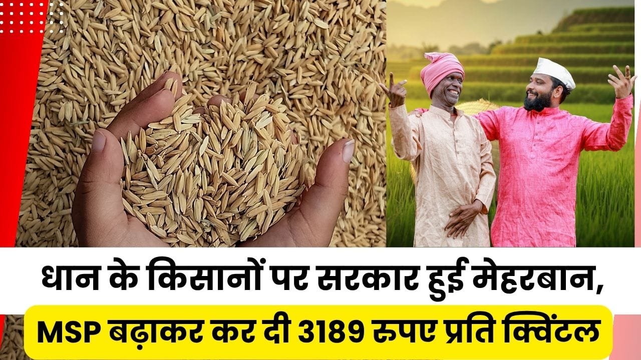 धान की MSP में बढ़ोतरी