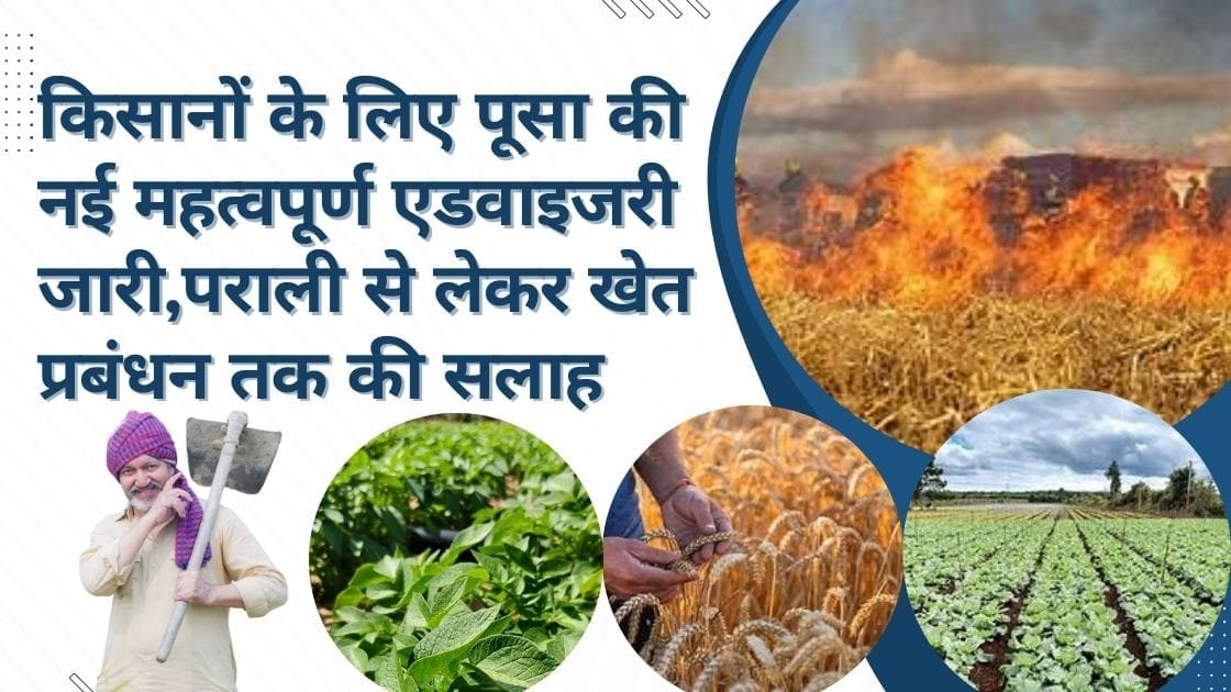 पूसा एडवाइजरी