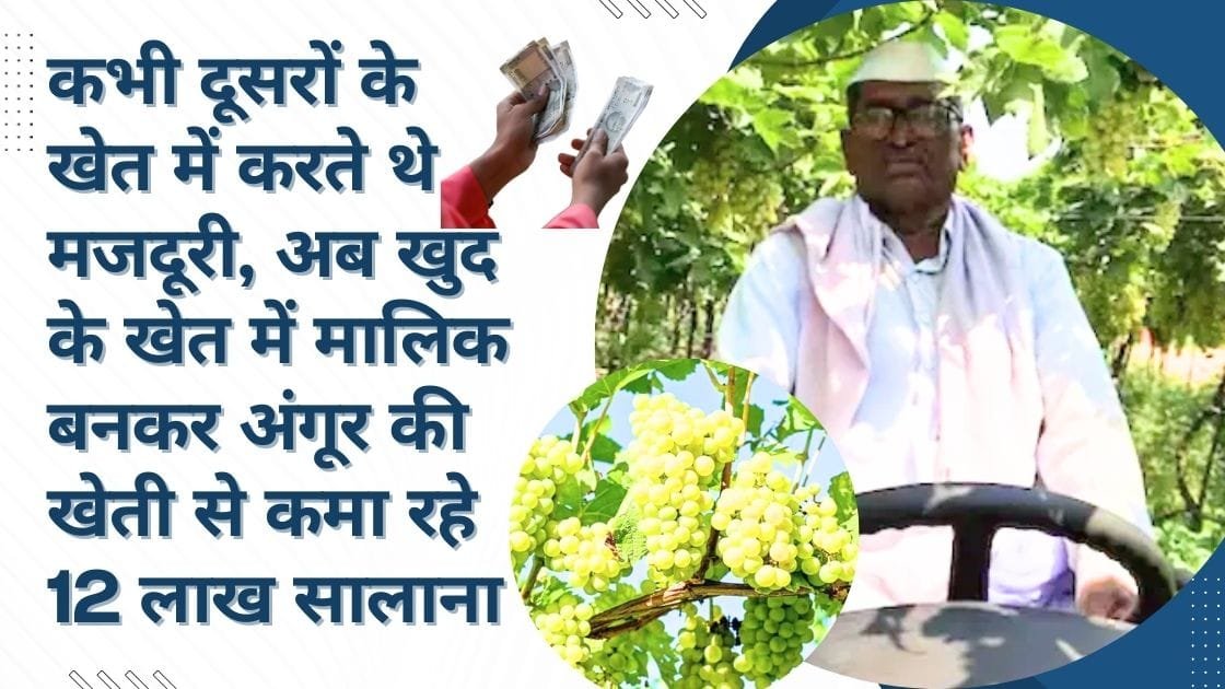 सक्सेस स्टोरी