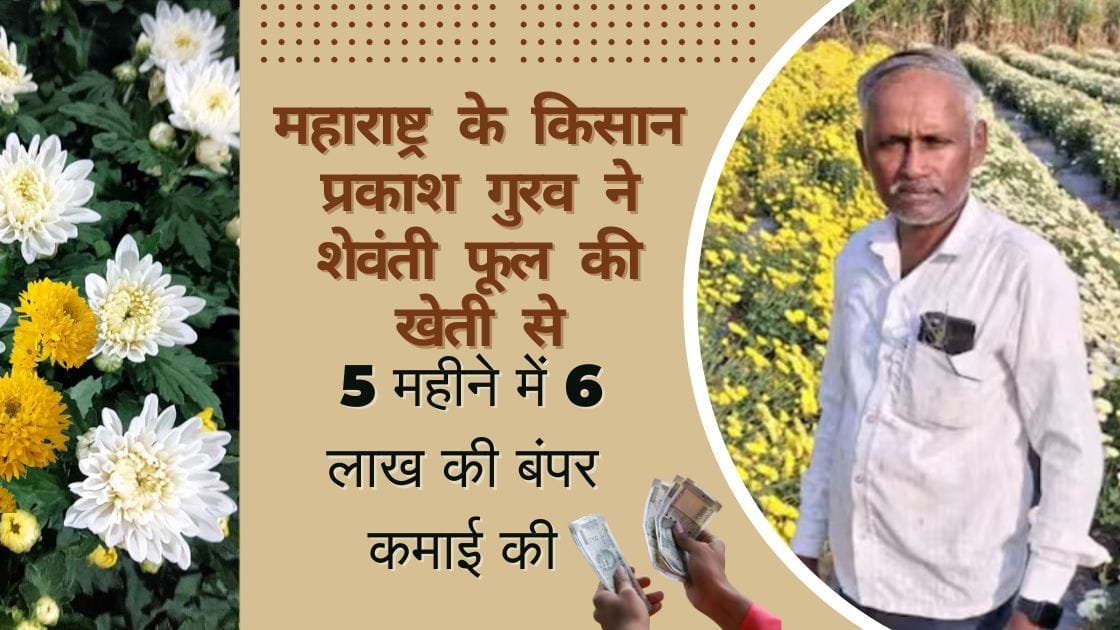 सफलता की कहानी