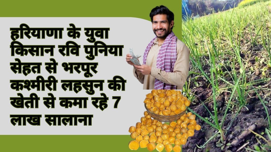 हरयाणा फार्मर सक्सेस स्टोरी