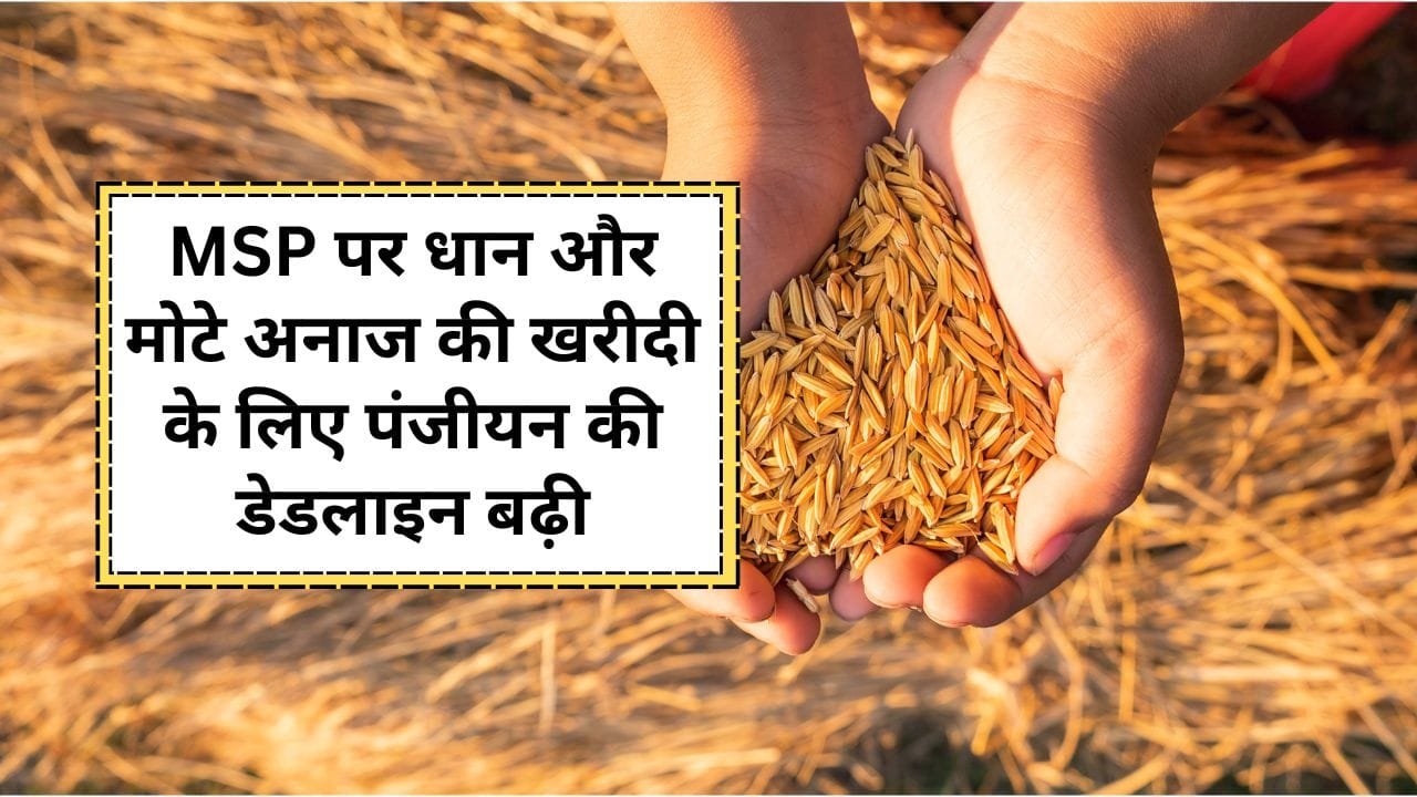 MSP पर धान और मोटे अनाज की खरीदी