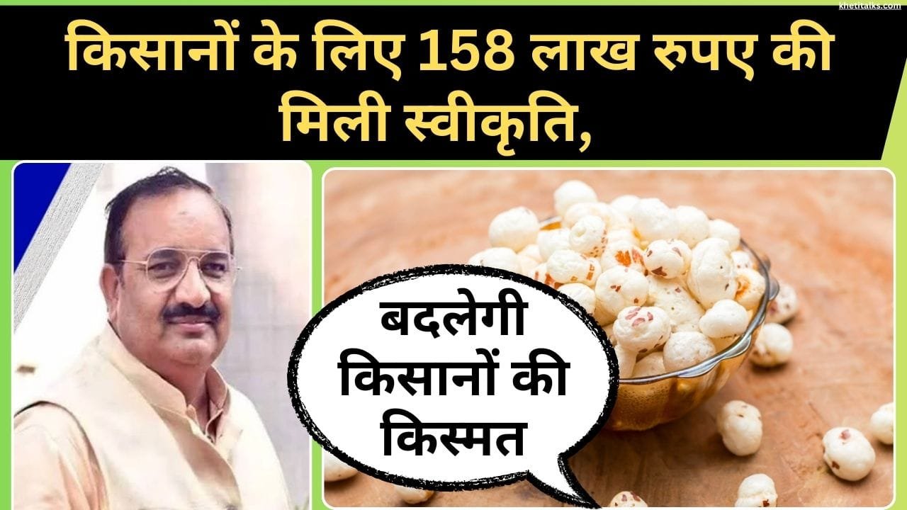 UP में मखाना विकास योजना