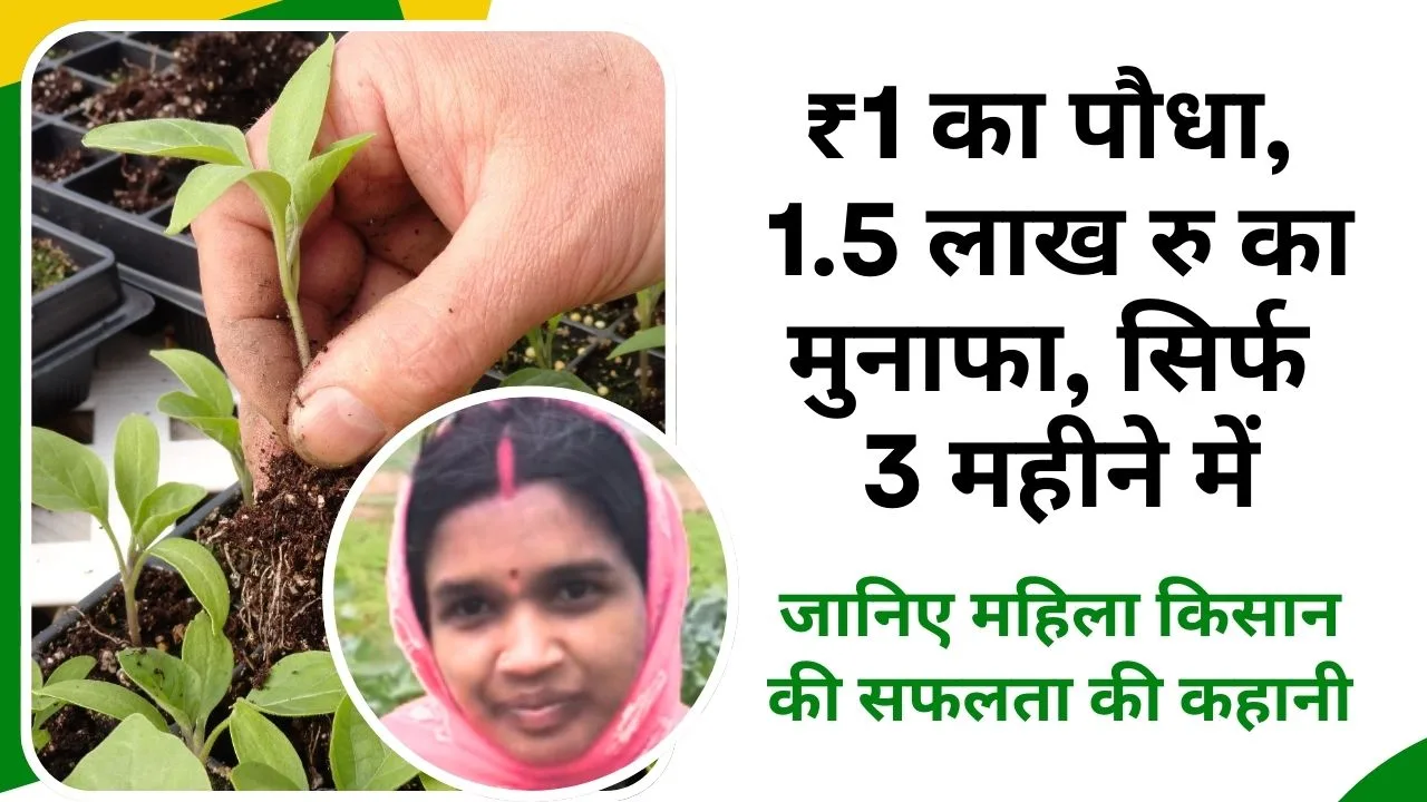 महिला किसान की सफलता की कहानी