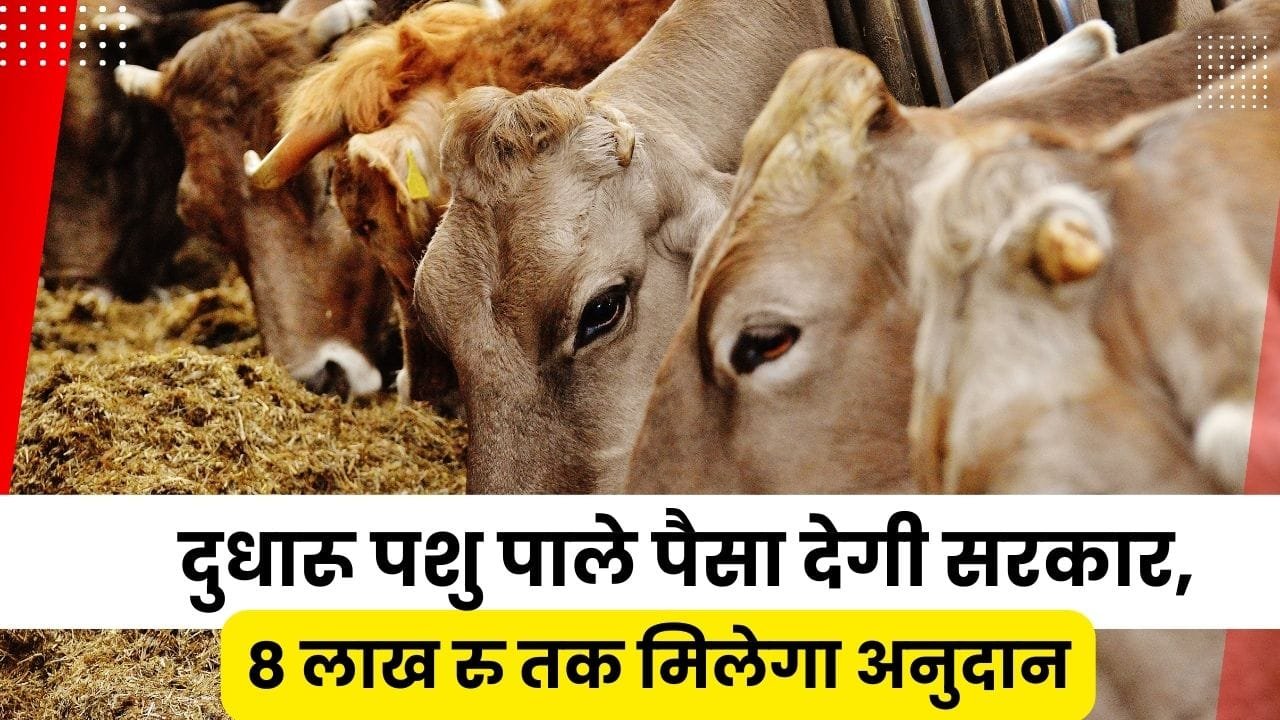 समग्र गव्य विकास योजना क्या है