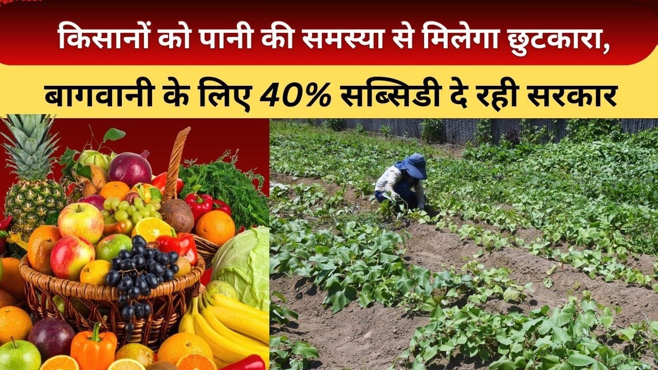 बागवानी के लिए 40% सब्सिडी दे रही सरकार