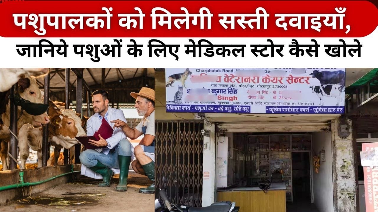 पशुओं के लिए मेडिकल स्टोर