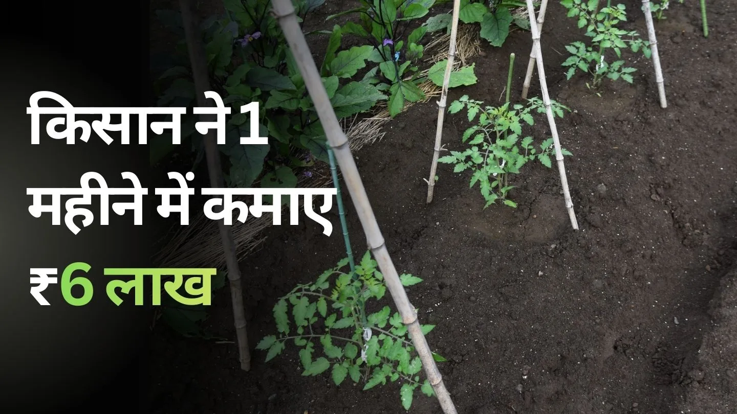 MP के किसान की सफलता की कहानी