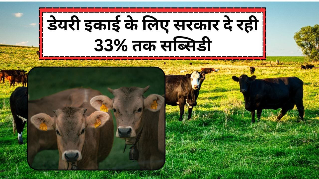 पशुपालन के लिए अनुदान किस योजना से मिल रहा है?