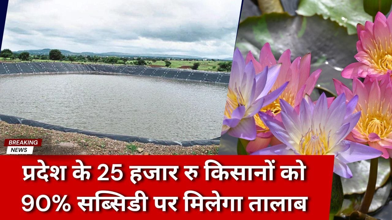 तालाब पर सब्सिडी किसे मिल रही है?