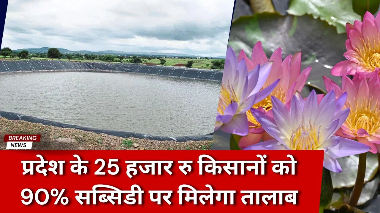 तालाब पर सब्सिडी किसे मिल रही है?