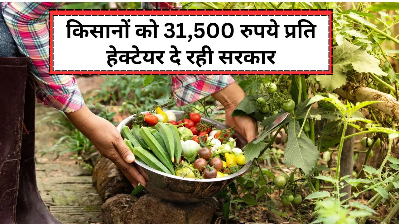 PKVY योजना का फायदा किन किसानों को मिलता है