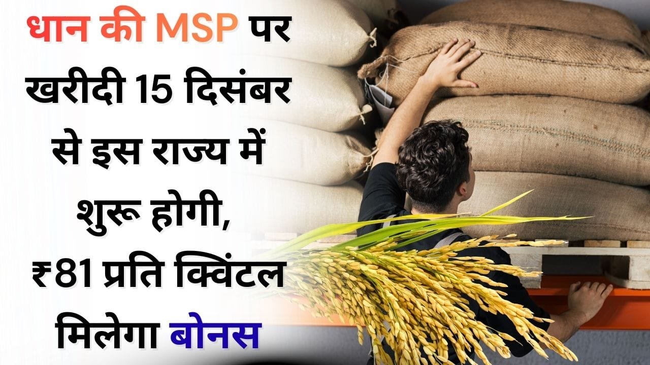 15 दिसंबर से धान की MSP पर खरीदी कहां होगी?