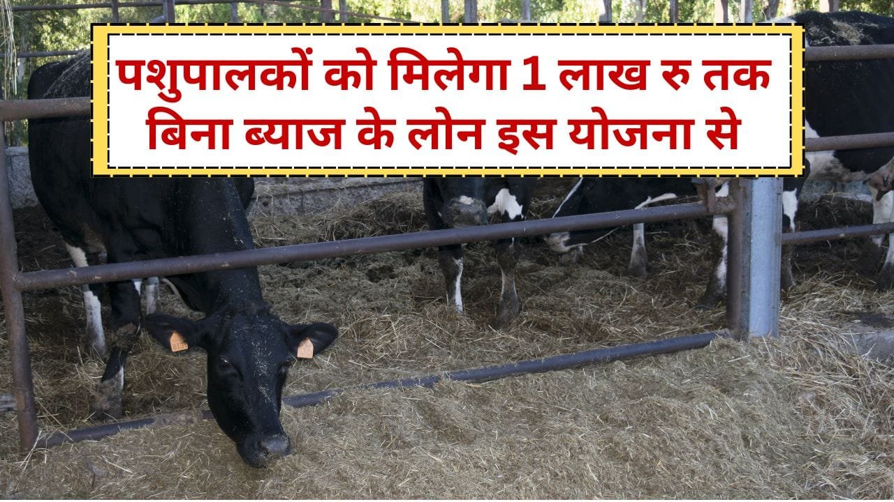 पशुपालकों को बिना ब्याज लोन किस योजना से मिलेगा?