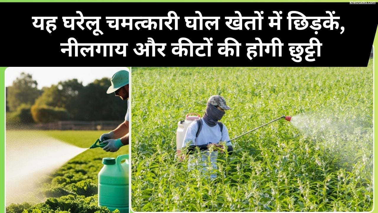 किसान जंगली जानवरों को खेत से दूर रखने के लिए क्या करें