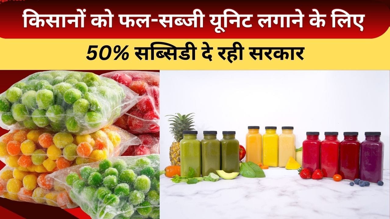 फल-सब्जी की यूनिट पर 50% सब्सिडी