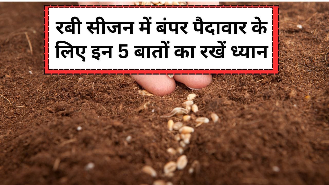 रबी सीजन की खेती के लिए किसान क्या तैयारी करें