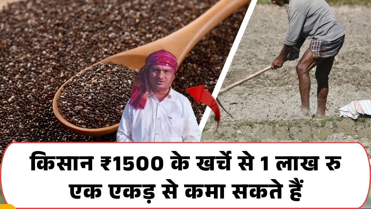 सुपर फूड की खेती