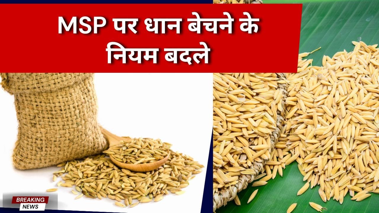 MSP पर धान बेचने के नियम बदले