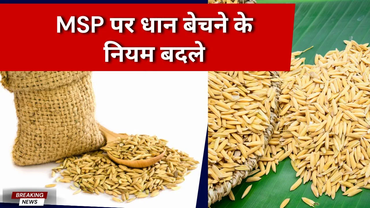 MSP पर धान बेचने के नियम बदले