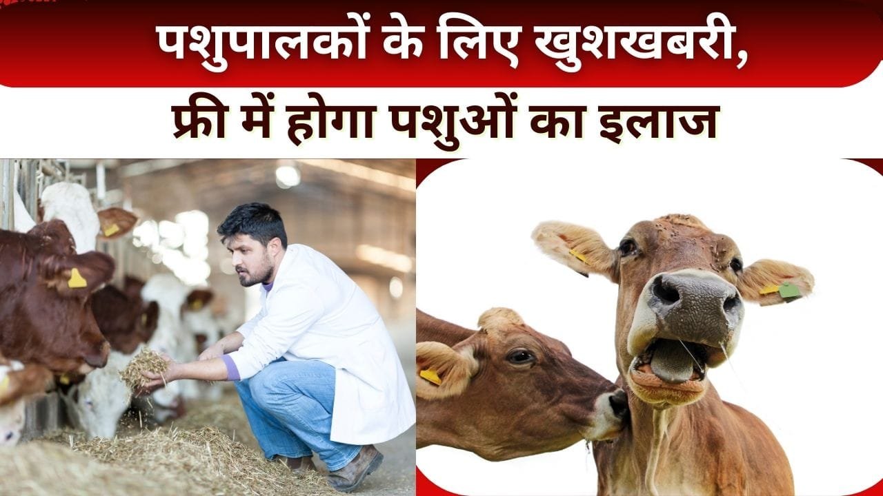 पशु स्वास्थ्य मेला कहां लगेगा