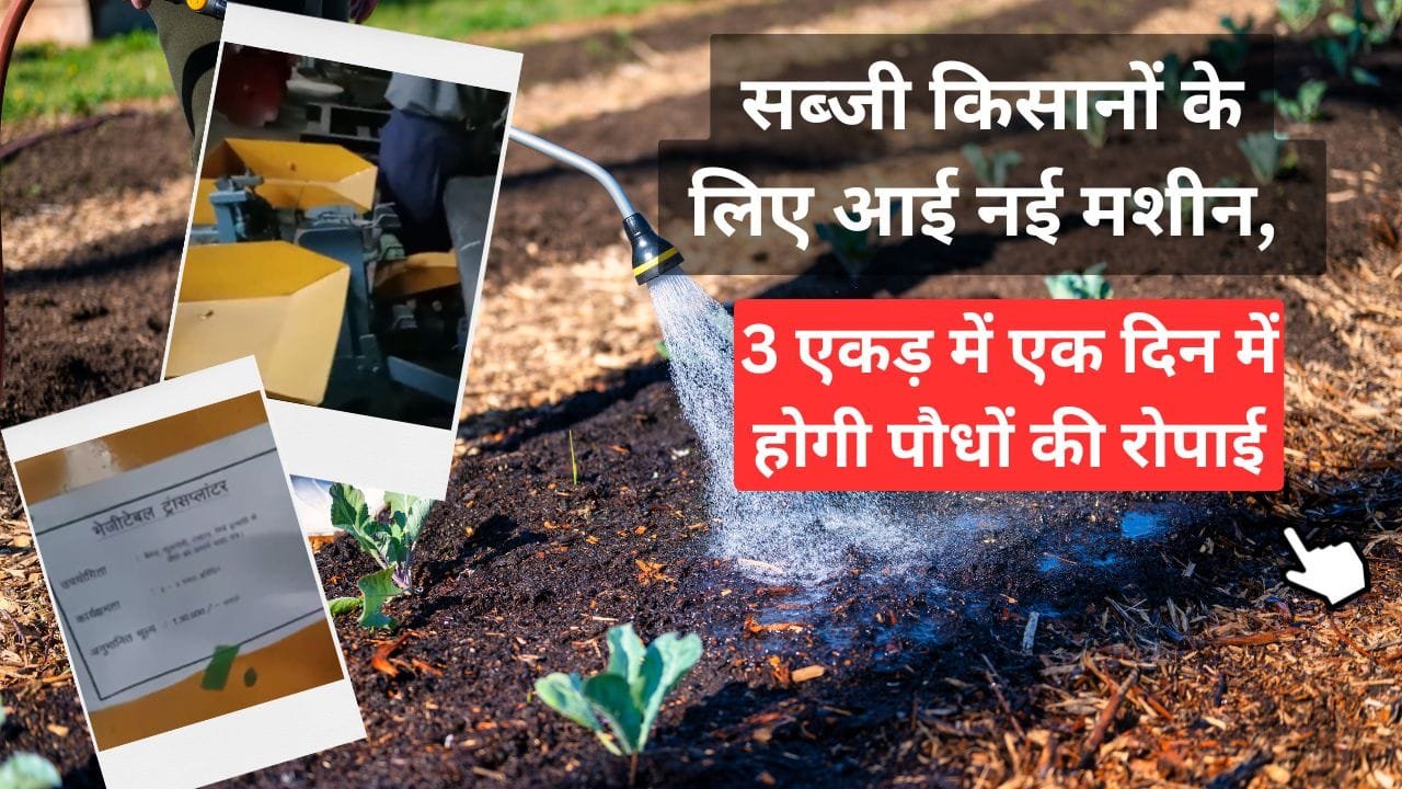 सब्जी के पौधे रोपने की मशीन के फायदे