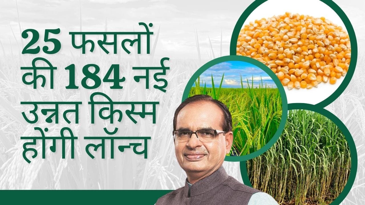 25 फसलों की 184 नई उन्नत किस्म होंगी लॉन्च