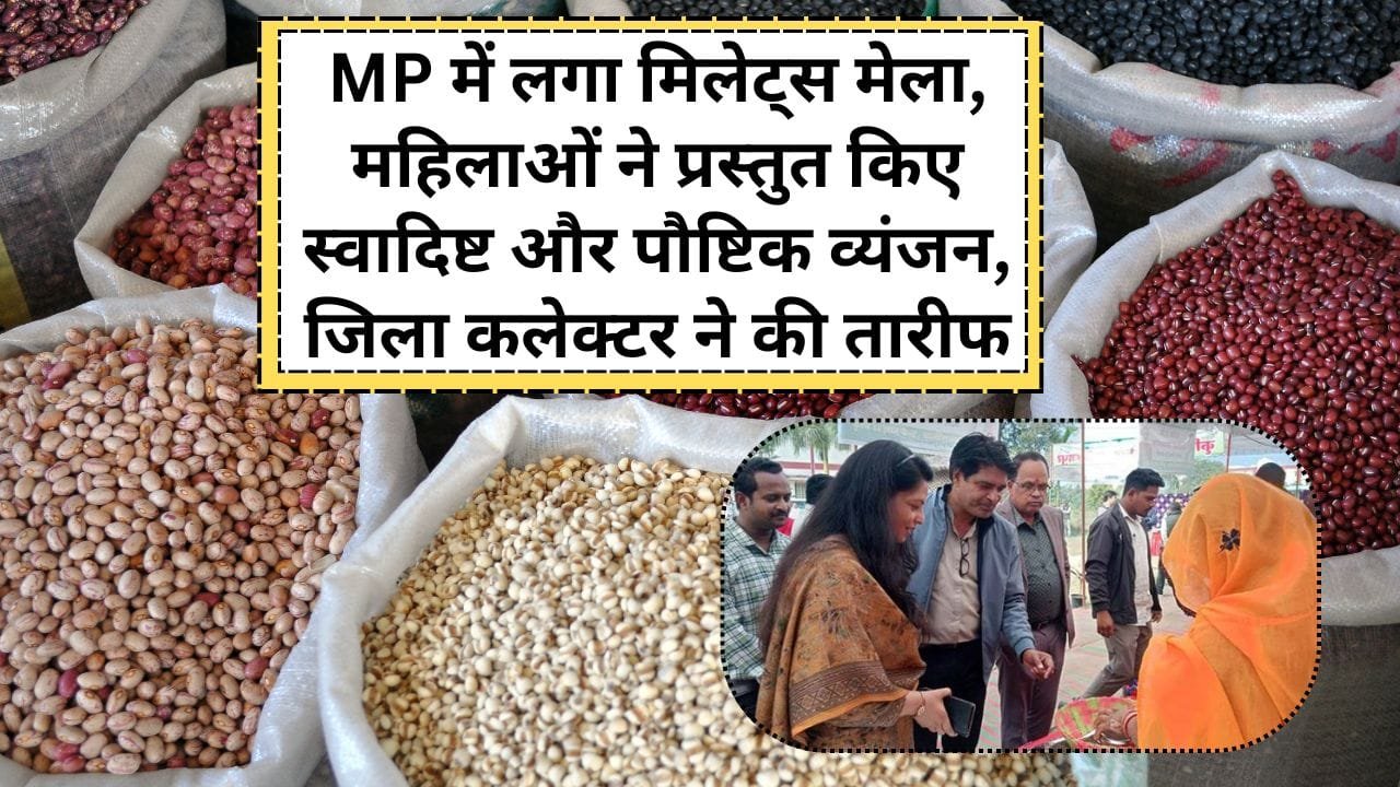 कहां हुआ मिलेट्स मेला का आयोजन