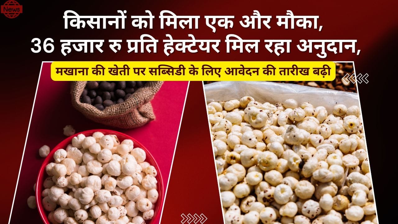 मखाना की खेती पर सब्सिडी