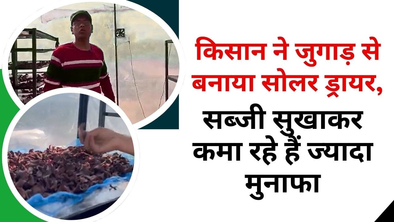 किसान ने जुगाड़ से बनाया सोलर ड्रायर