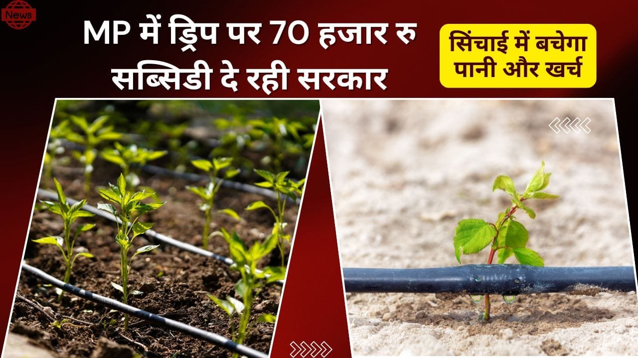 ड्रिप और स्प्रिंकलर के फायदे