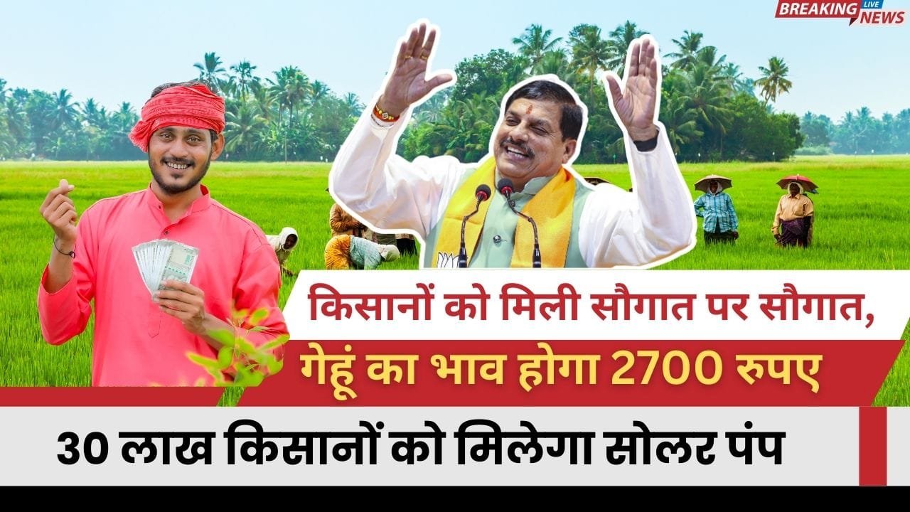 गेहूं का भाव कितना और कब बढ़ेगा