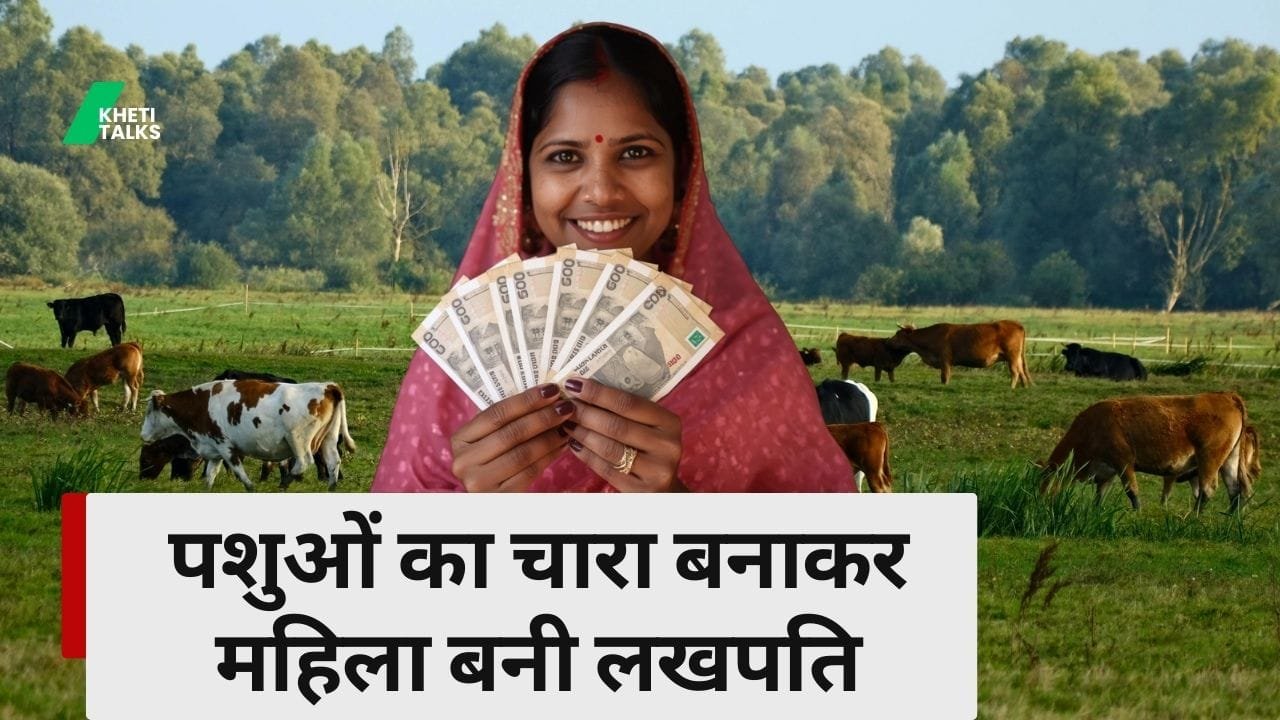 लखपति दीदी बनाती हैं पौष्टिक चारा