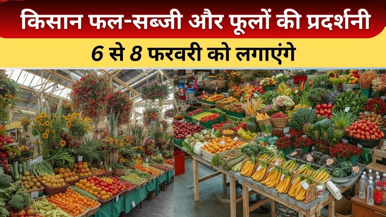 6 से 8 फरवरी को लगेगी फल-सब्जी और फूलों की प्रदर्शनी