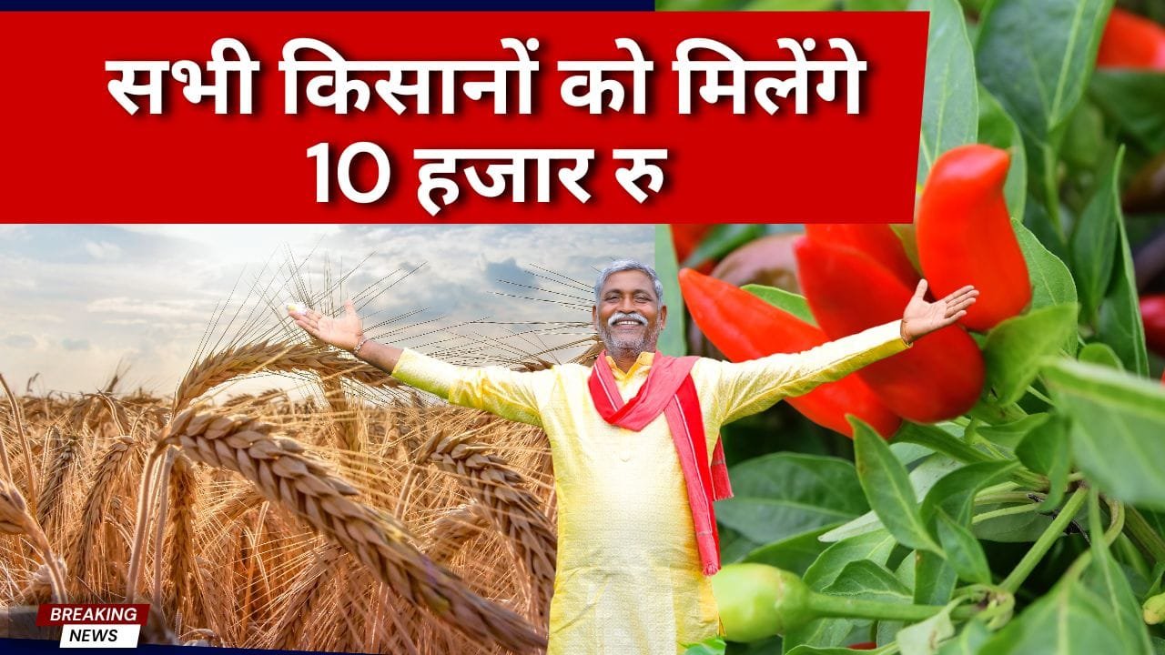 किसानों को मिलेंगे 10 हजार रु तक आर्थिक मदद