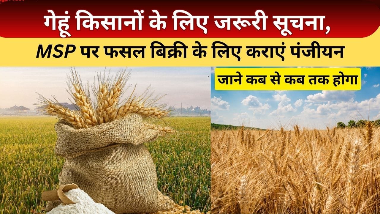 गेहूं उपार्जन के पंजीयन की तारीख