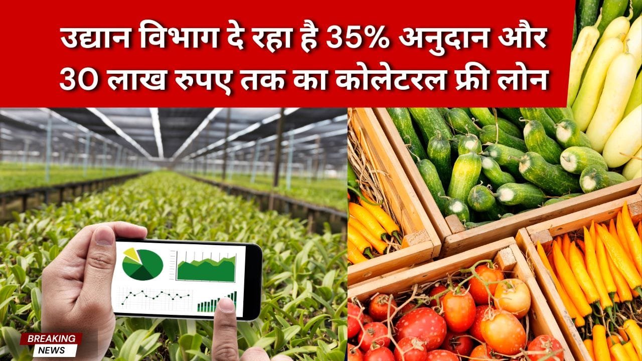 खेती से जुड़ा बिजनेस के लिए सरकारी योजनाएं