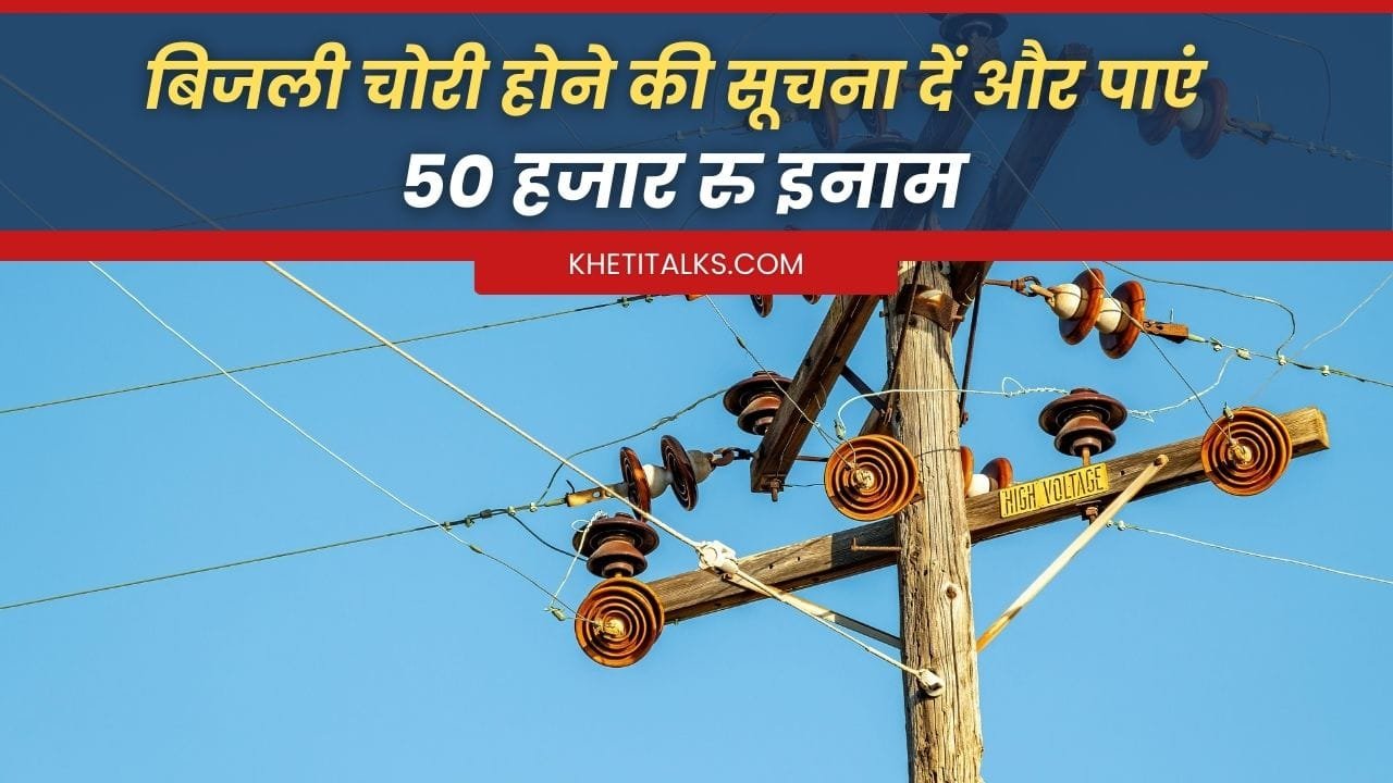 बिजली चोरी करने वालों की सूचना कैसे दें