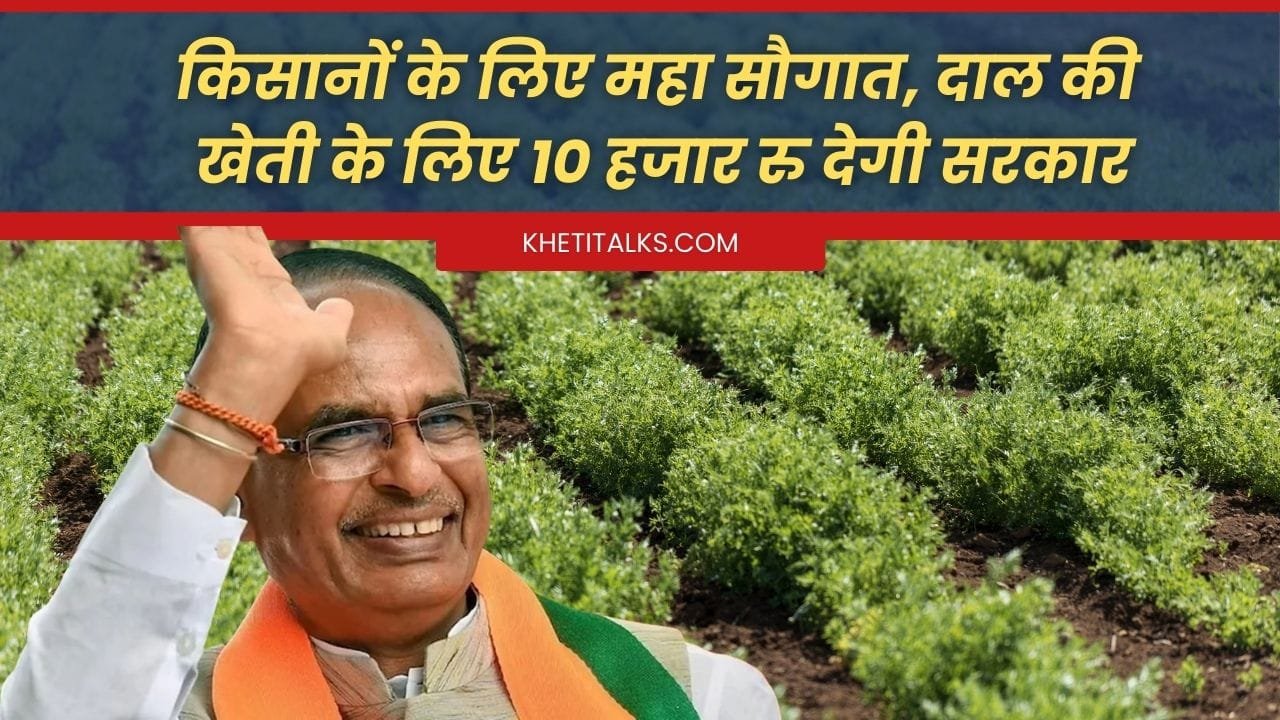 राष्ट्रीय दलहन आत्मनिर्भरता मिशन