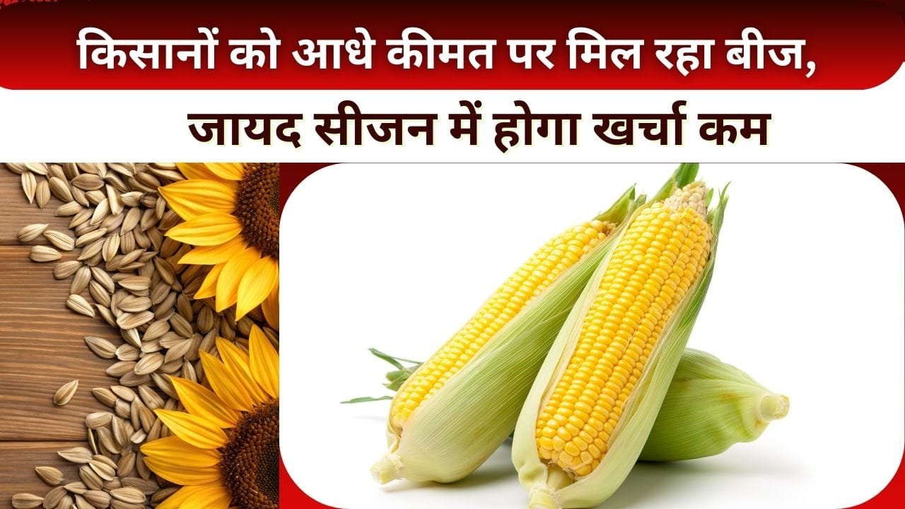 जायद फसलों के बीजों पर सब्सिडी