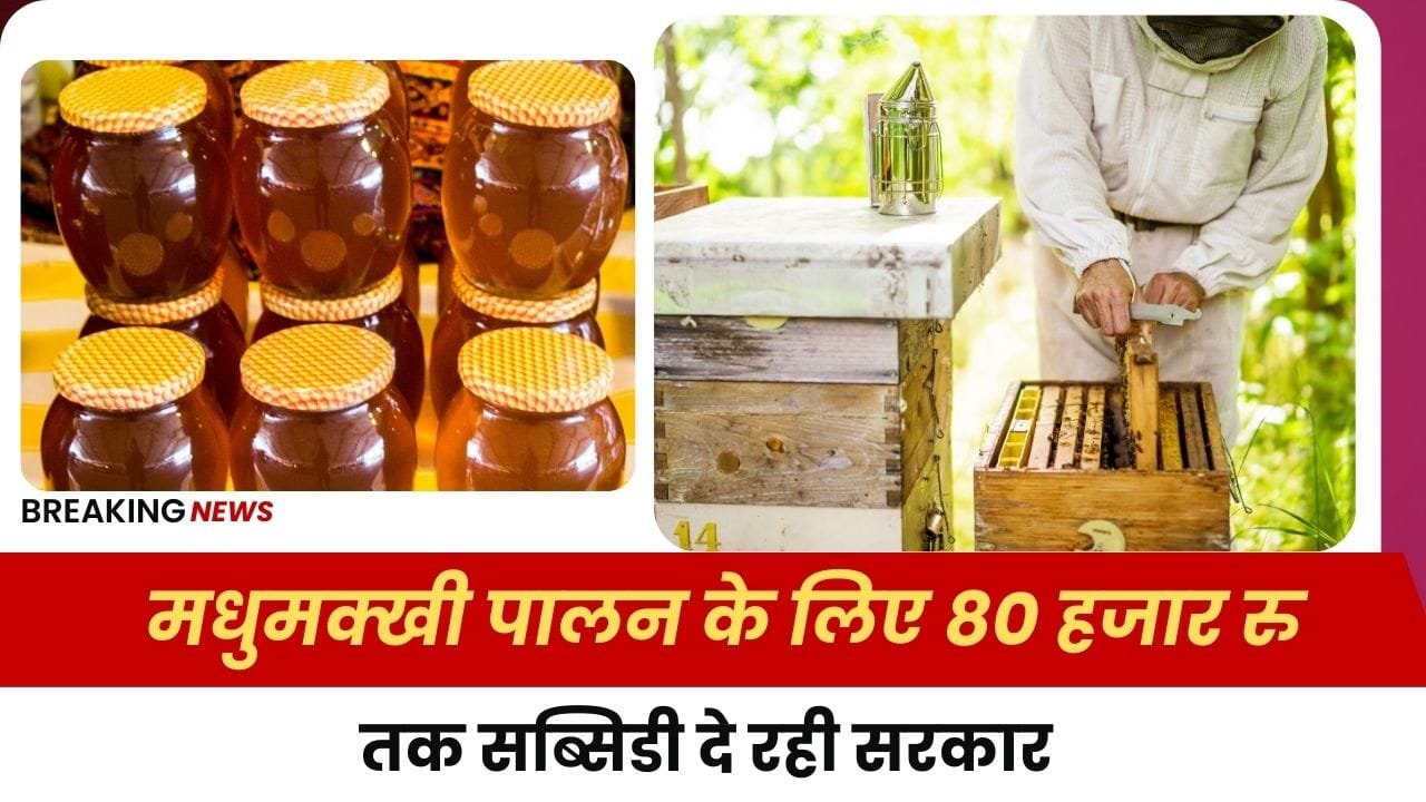 मधुमक्खी पालन पर सब्सिडी