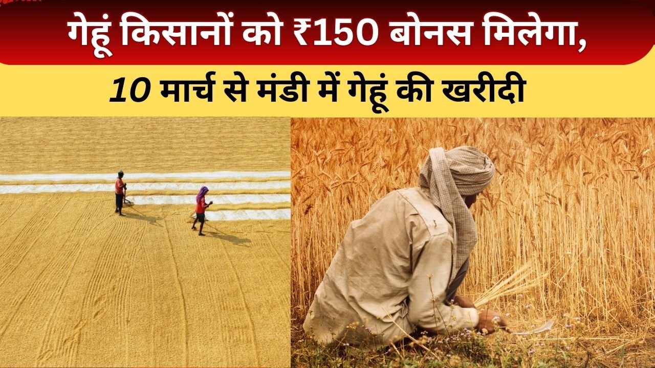 गेहूं किसानों को ₹150 बोनस मिलेगा
